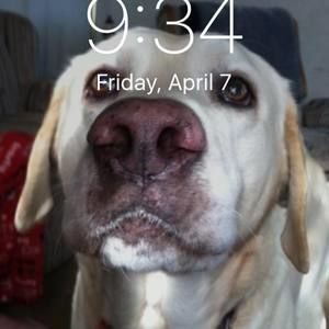 Meet your Posher, Jordan